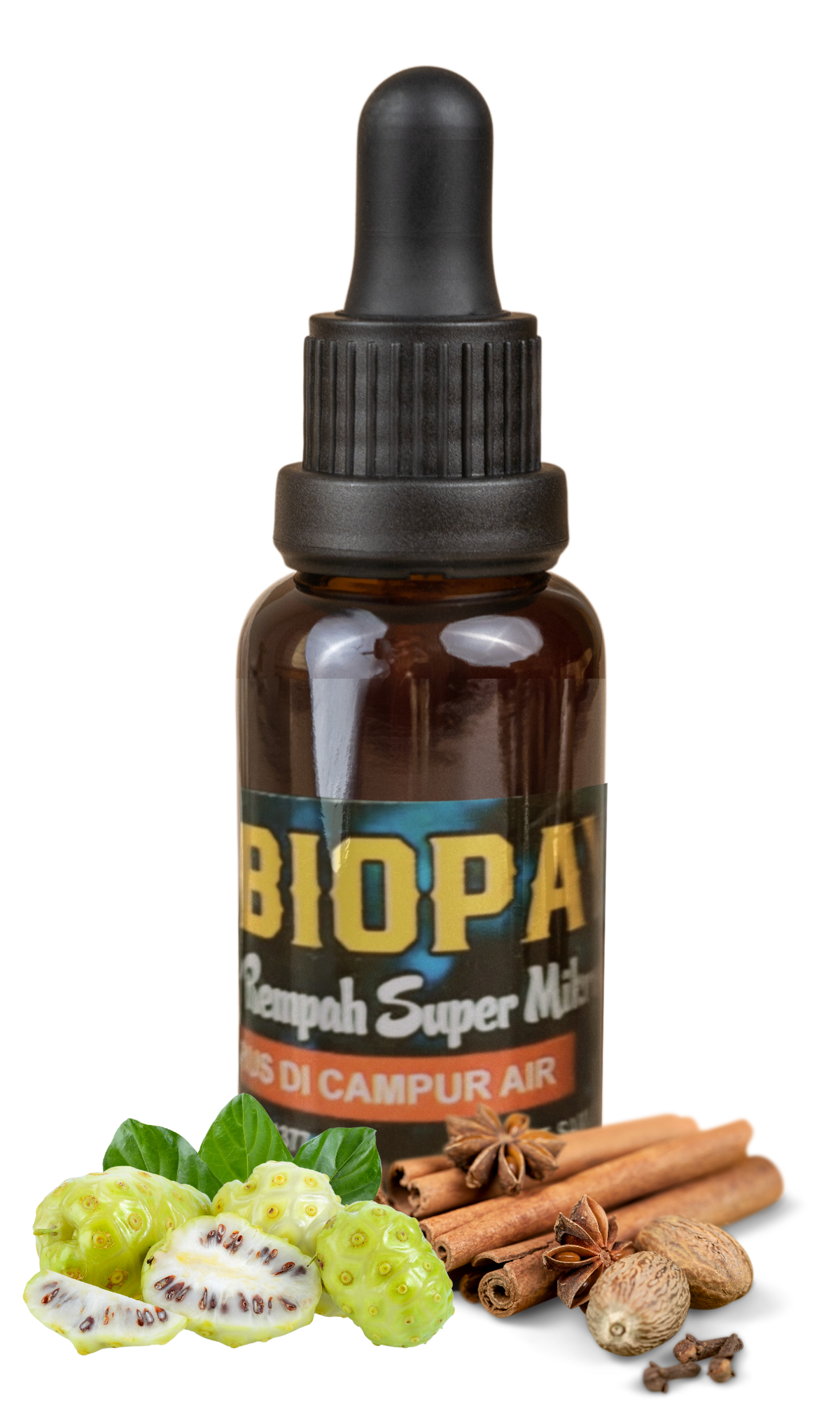 Blogspot Landing Page Builder